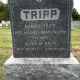 Daniel T Tripp, Jr.