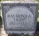 Raymond Alfred Tripp