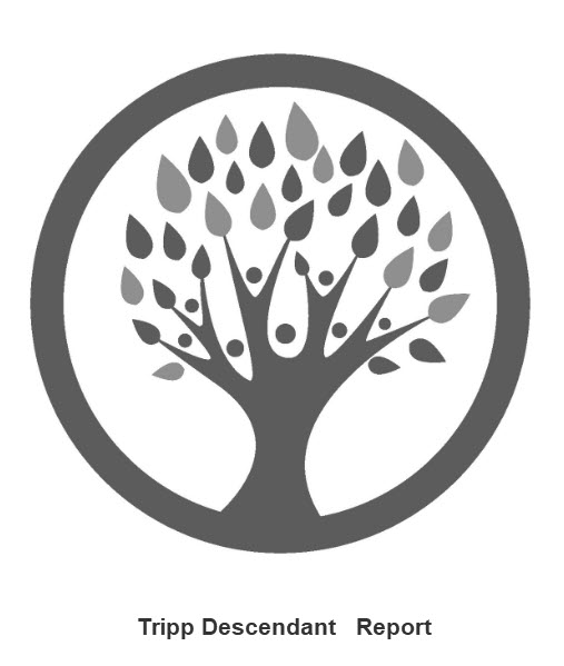 02-John Tripp2 Generation Table Report 02-John Tripp2 Generation Table Report